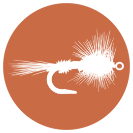 msapplication-TileImage