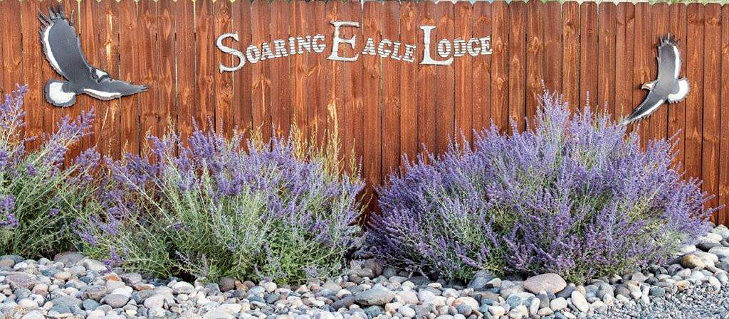 Sign Soaring Eagle Lodge San Juan River NM