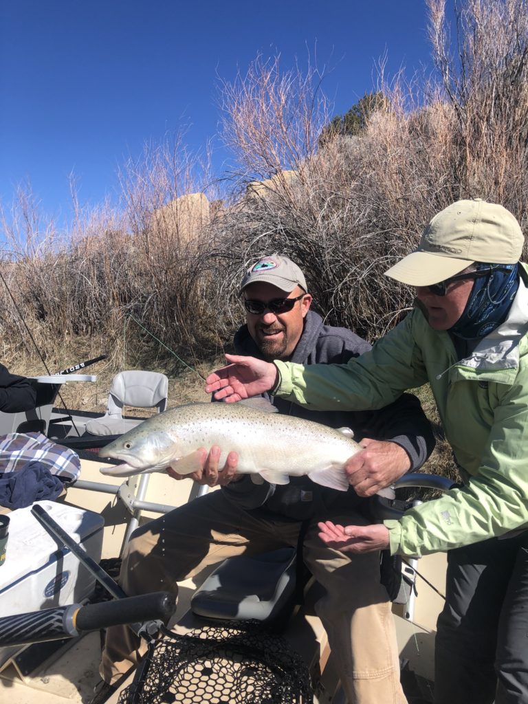 The Nitty Gritty of Spring 2019 Fishing